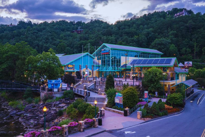 Top_10_Reasons_to_Visit_Ripley___s_Aquarium_of_the_Smokies.jpg