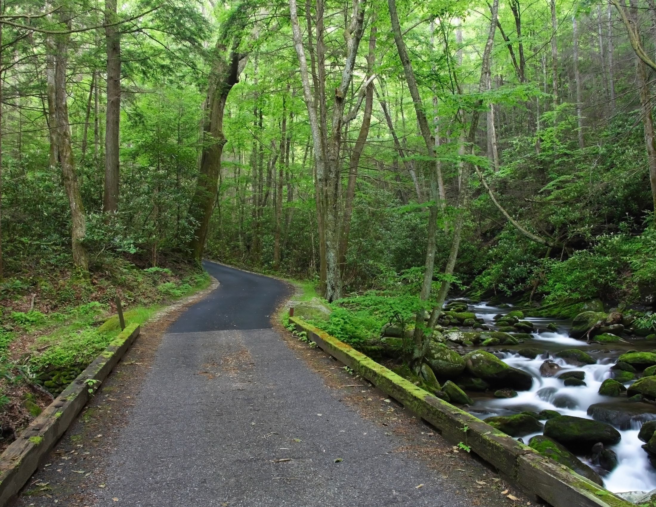 Roaring Fork Motor Nature Trail Scenic Drive Through the Smokies.jpg