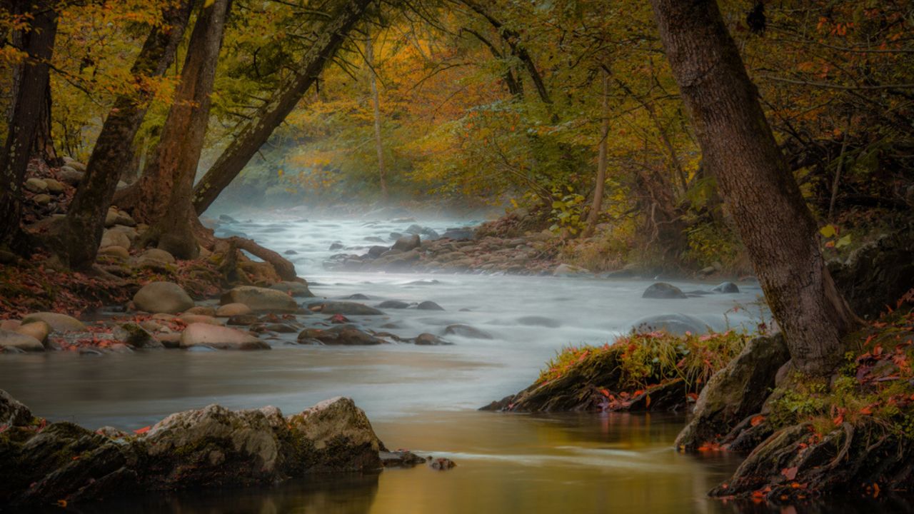 Exploring the Serene Alternatives to Cades Cove in the Great Smoky Mountains Exploring the Serene Alternatives to Cades Cove in the Great Smoky Mountains