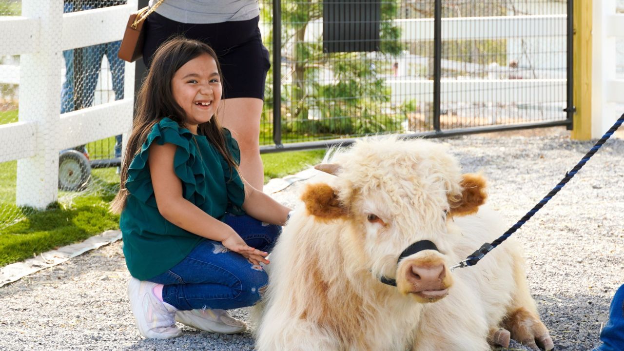 Wild Adventures: Top Animal Attractions in Pigeon Forge for Families Wild Adventures: Top Animal Attractions in Pigeon Forge for Families