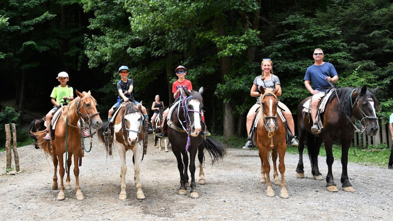 Top 4 Places to Go Horseback Riding in Gatlinburg Top 4 Places to Go Horseback Riding in Gatlinburg