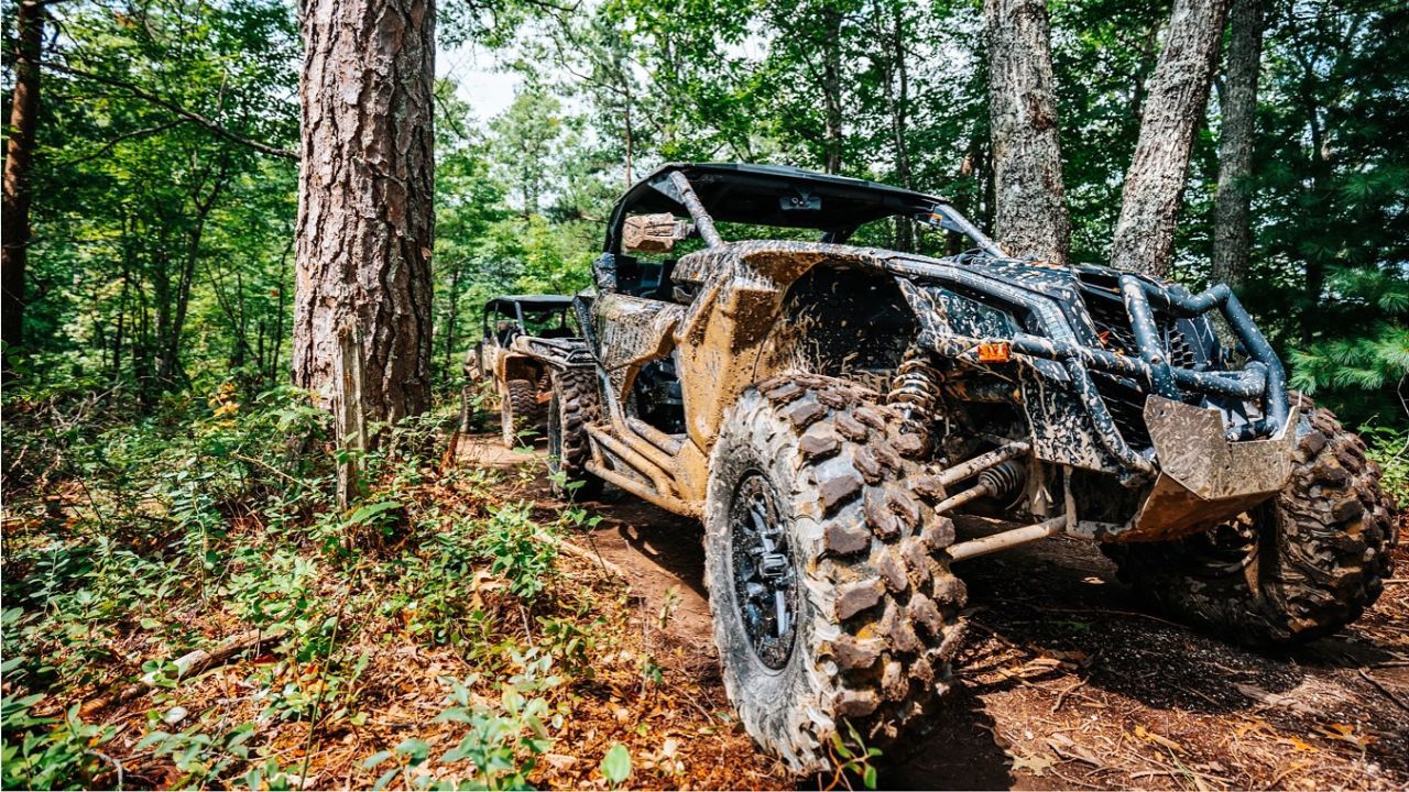 WildSide is the Baddest Adventure Park in Pigeon Forge WildSide is the Baddest Adventure Park in Pigeon Forge