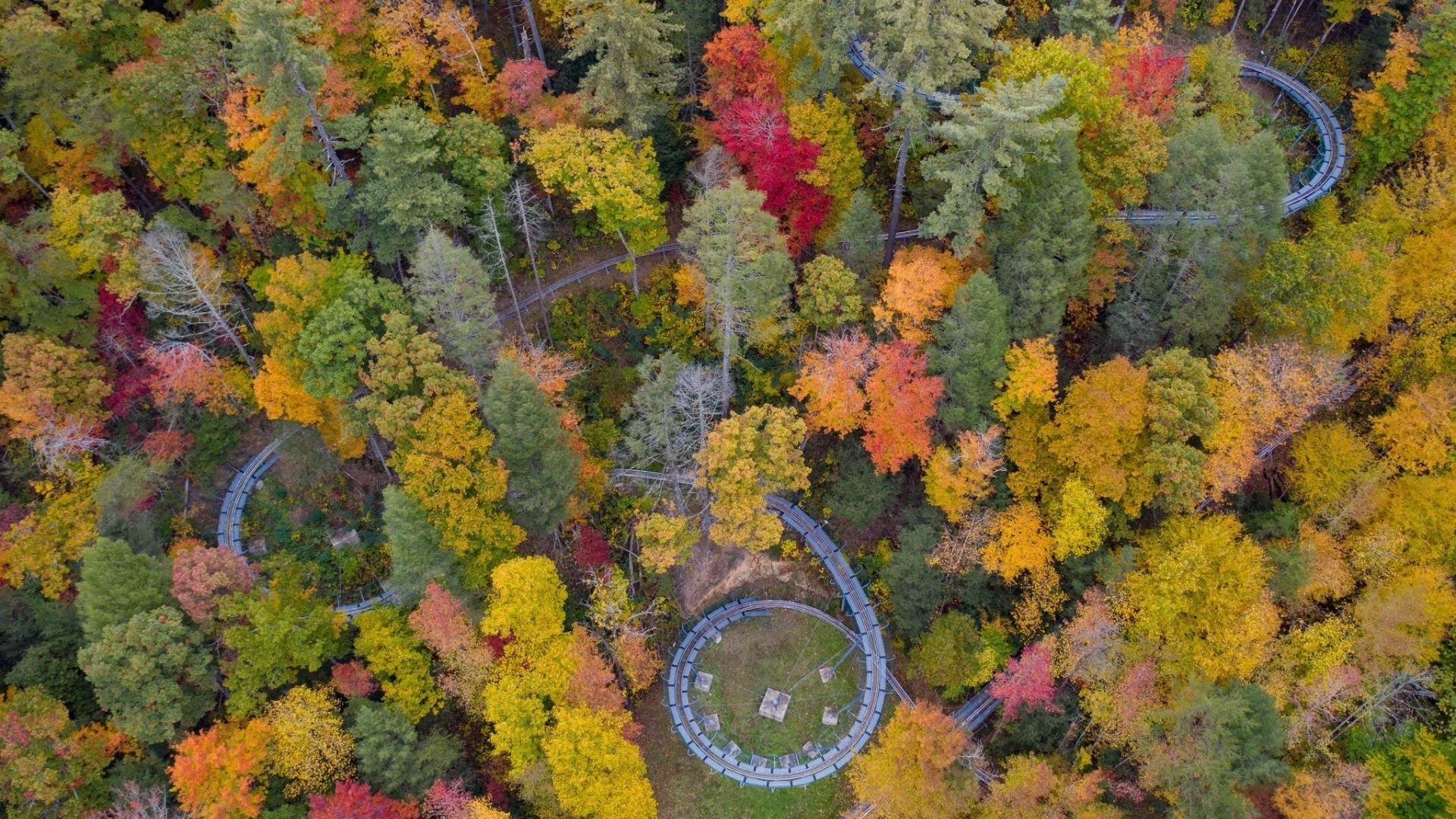 Moonshine Mountain Coaster Moonshine Mountain Coaster