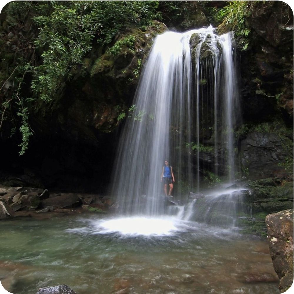 Smoky Mountain Hiking Trails