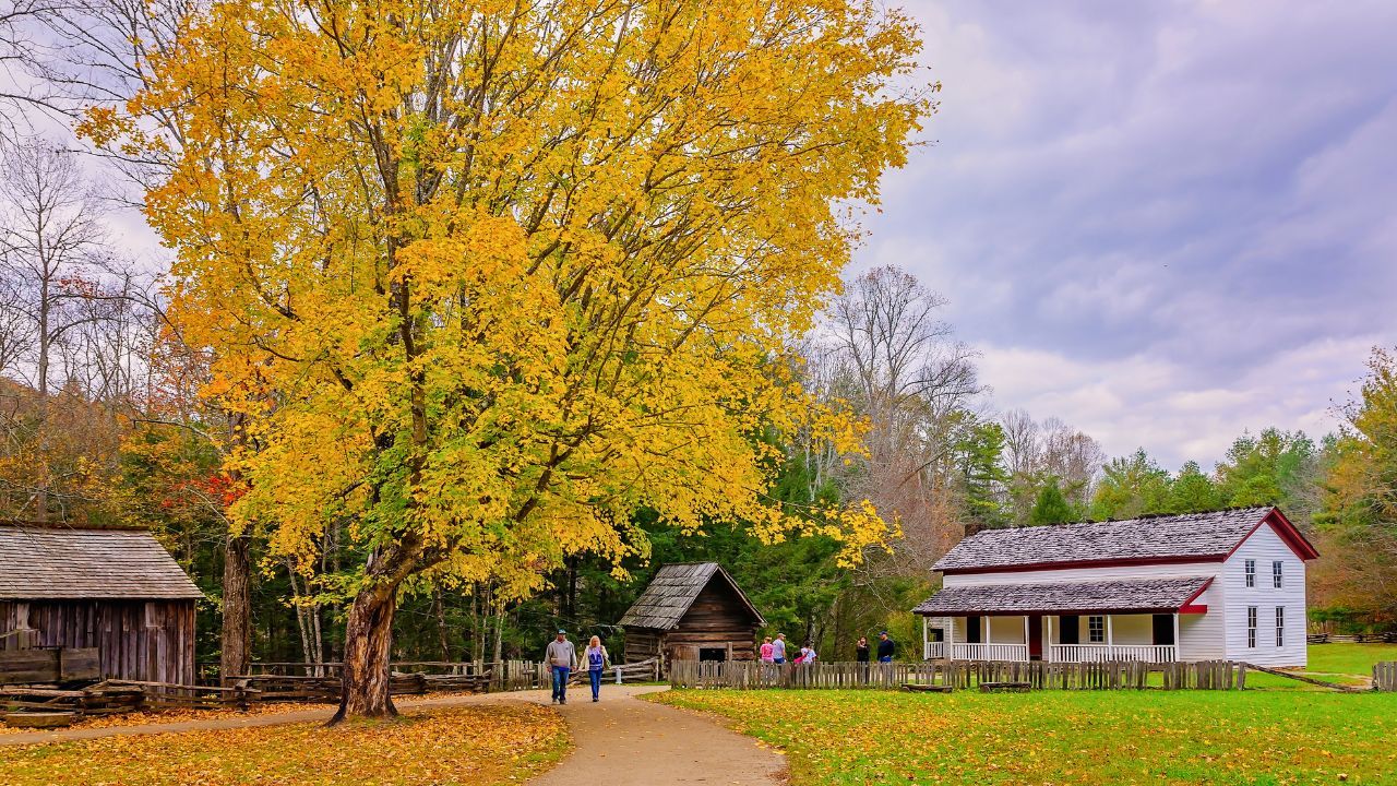 Top 3 Best Ways to Experience the Smoky Mountains