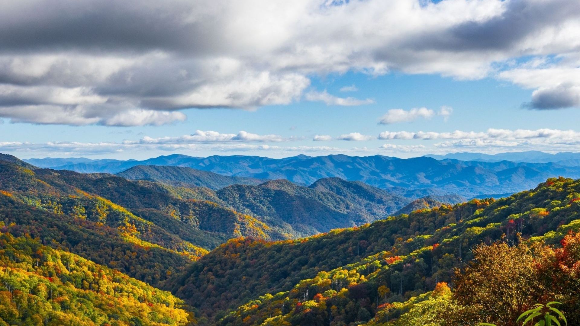 Fall in the Great Smoky Mountains: Experience the Season’s Splendor