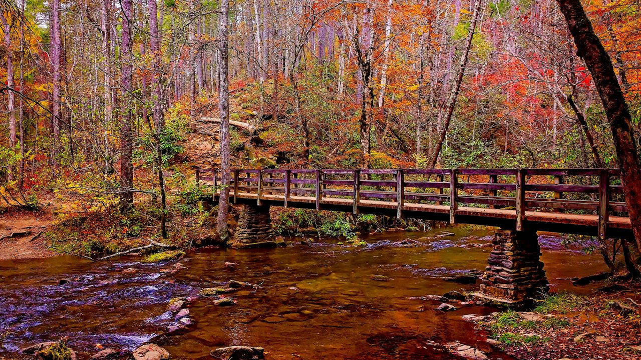The Best Time to See Fall Colors in the Smoky Mountains The Best Time to See Fall Colors in the Smoky Mountains