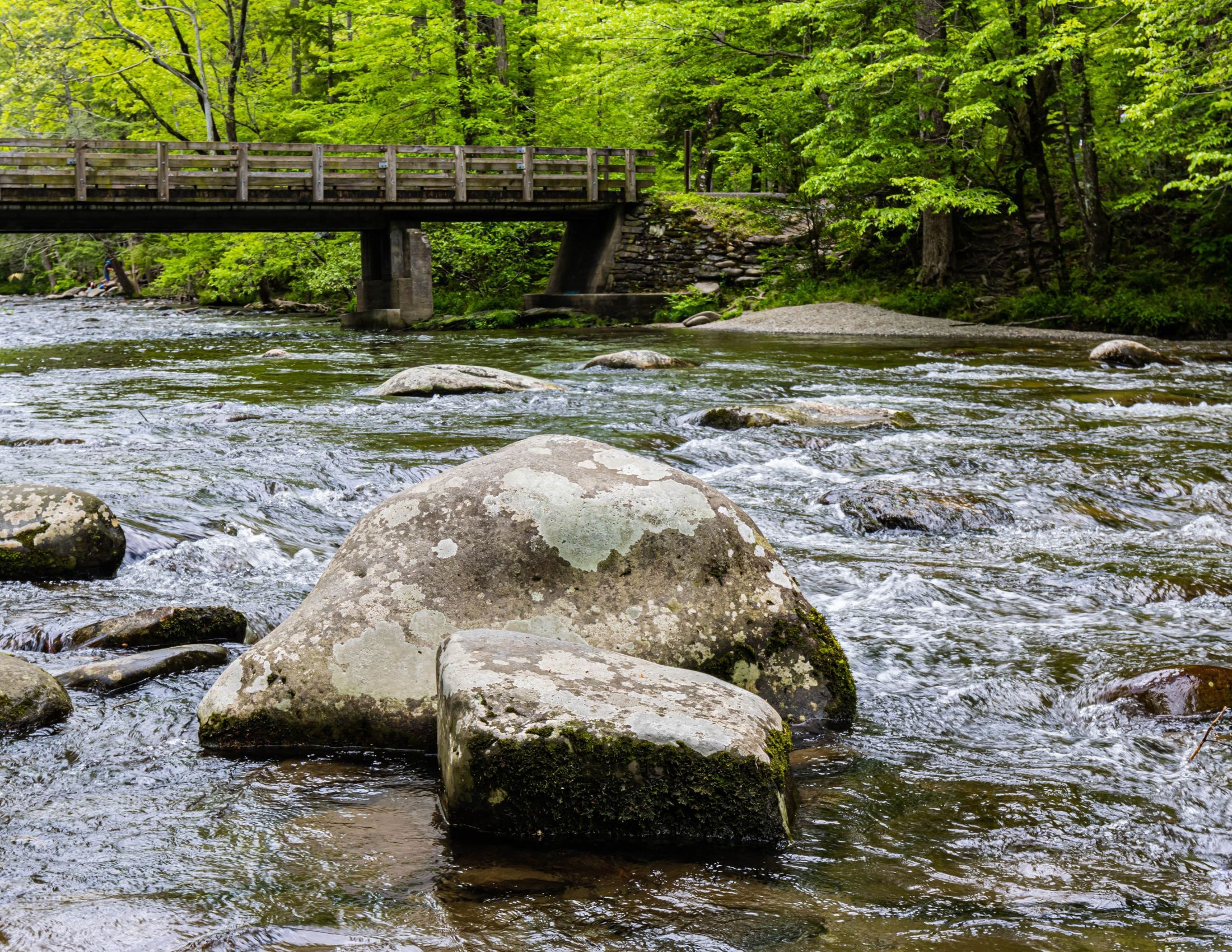 Best Picnic Spots in the Great Smoky Mountains: Scenic Settings for a Perfect Meal Best Picnic Spots in the Great Smoky Mountains: Scenic Settings for a Perfect Meal