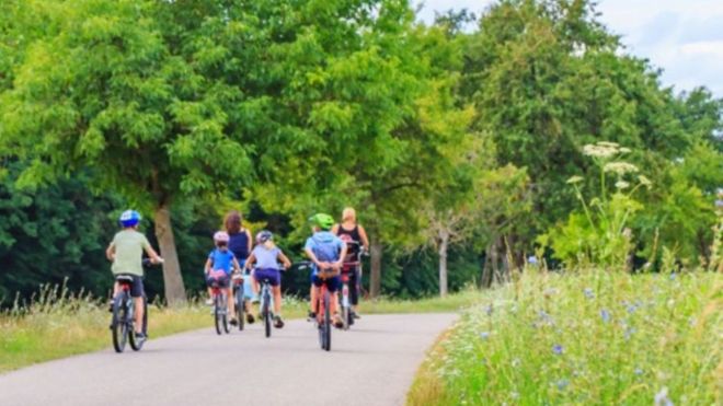 Top 6 Bike Trails to Explore near Gatlinburg