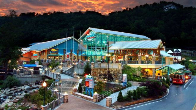 Image for Thing To Do Ripley's Aquarium