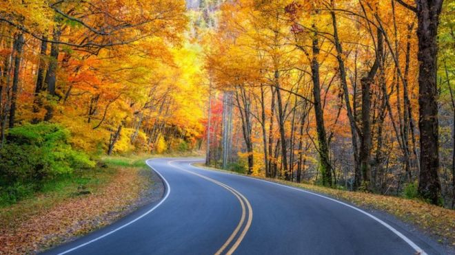 Top 5 Fall Experiences in Pigeon Forge and Gatlinburg