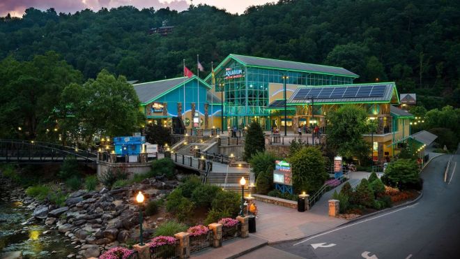 Top 9 Family Activities Near Gatlinburg Cabin Rentals