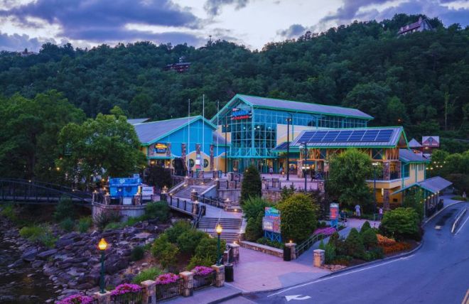 Ripley's Aquarium of the Smokies: Complete Guide