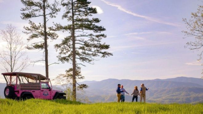 Image for Thing To Do Pink Jeep Tours