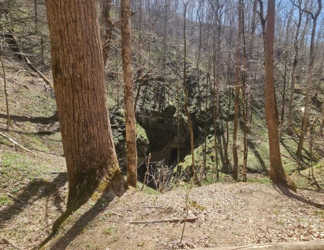 Image for Thing To Do Beard Cane Trail