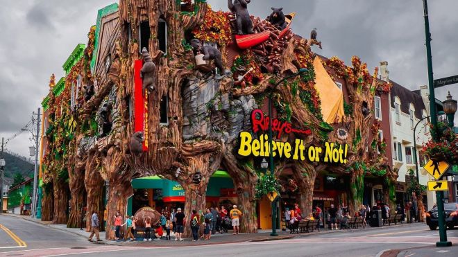Image for Thing To Do Ripley's Believe It or Not!