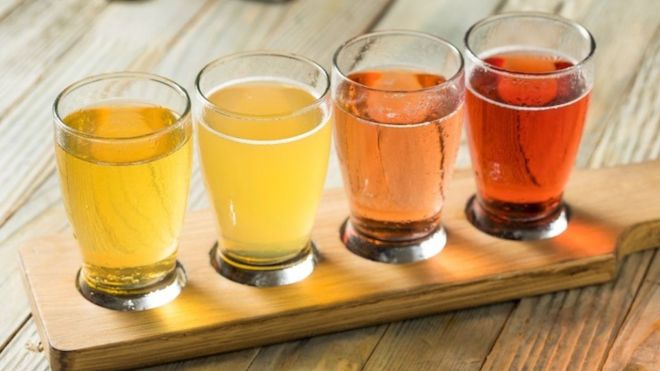 Hard Cider in the Smoky Mountains