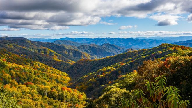 Connect with Nature in the Great Smoky Mountains