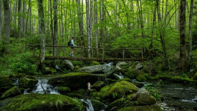 5 Hidden Treasures of the Great Smoky Mountains National Park