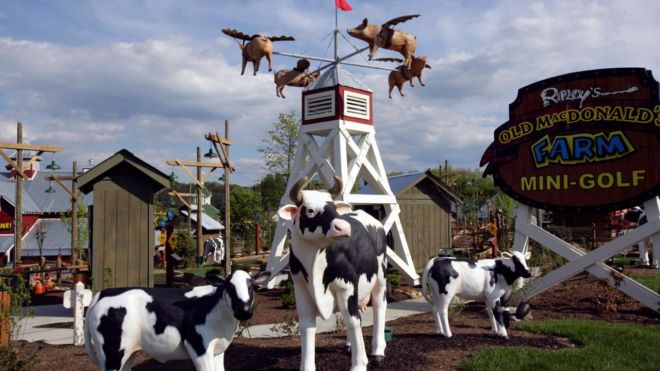 Image for Thing To Do Ripley's Old MacDonald's Farm Mini Golf