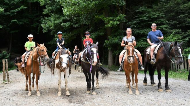 Top 4 Places to Go Horseback Riding in Gatlinburg
