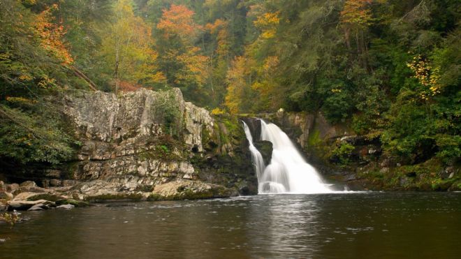 The 5 Best Cades Cove Hiking Trails