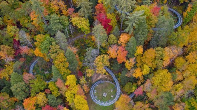 Image for Thing To Do Moonshine Mountain Coaster