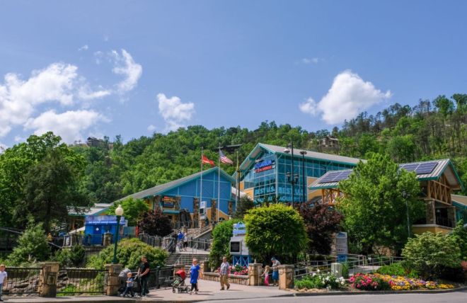 Ripley's Aquarium of the Smokies: Complete Guide