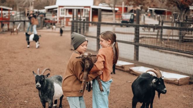 3 of the Most Popular Zoos in the Smoky Mountains