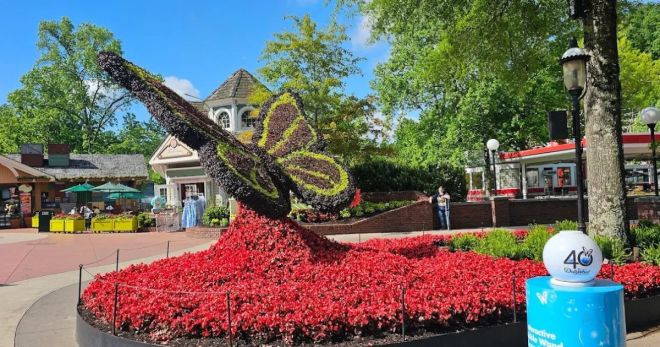 How to Have a Fun Day at Dollywood Without Going on Any Rides
