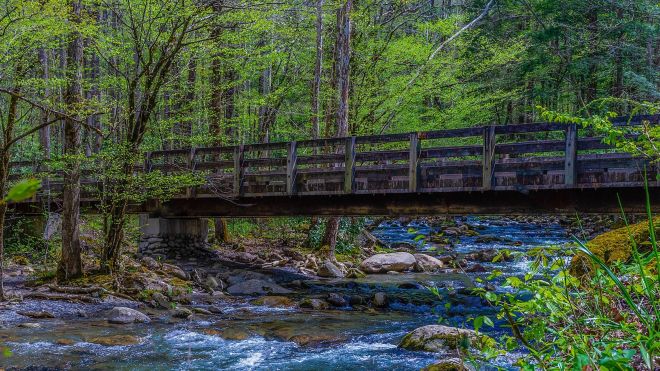 Image for Thing To Do Porters Creek Trail