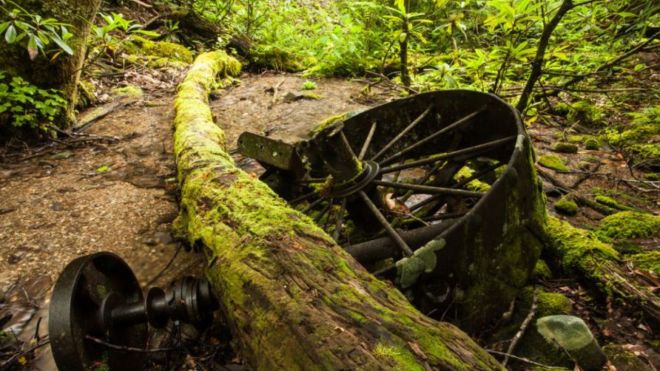 6 Secret Treasures in the Great Smoky Mountains National Park