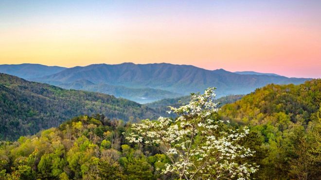 Top 9 Spring Activities to Do During Your Gatlinburg Cabin Rental Stay