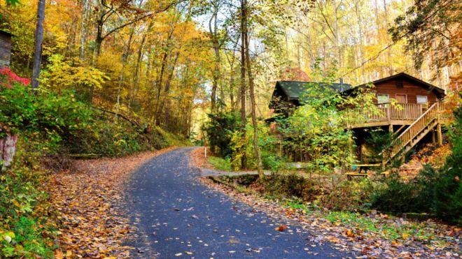 Hidden Gems: Unique Gatlinburg Cabin Rentals Off the Beaten Path