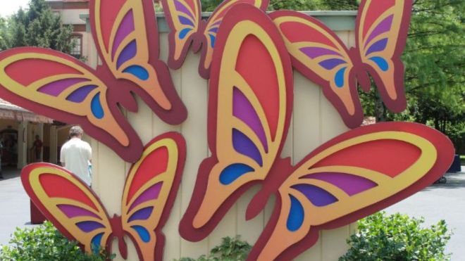 The Real Reason There are Butterflies Everywhere at Dollywood
