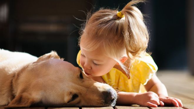 Book a Pet-Friendly Cabin in Pigeon Forge