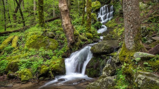 Top 5 Most Beautiful Waterfalls in the Smoky Mountains