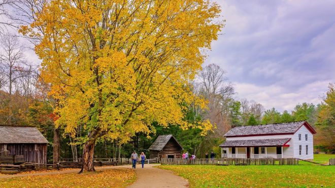 Top 3 Best Ways to Experience the Smoky Mountains