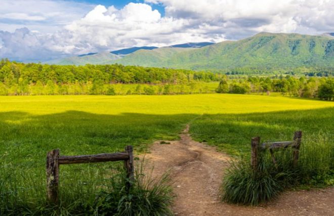Best Hiking Trails in Cades Cove, TN