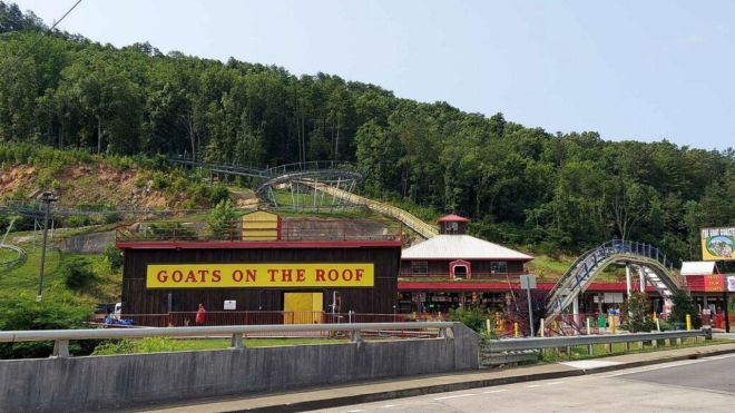 Image for Thing To Do Goats on the Roof