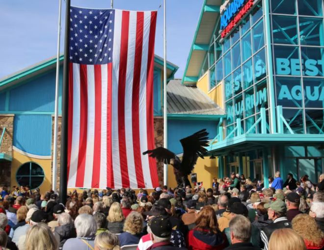 Image for Thing To Do Veterans Day Celebration