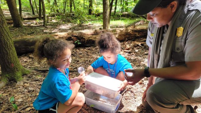 Top 7 Educational Experiences in Pigeon Forge