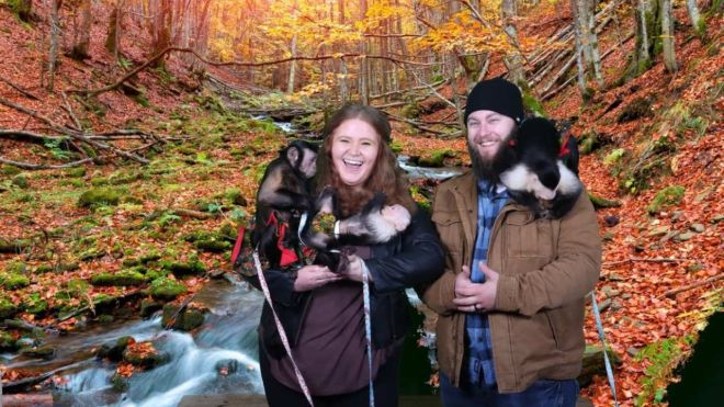 Image for Thing To Do Three Monkeys Photo Emporium