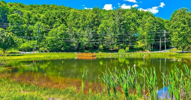 8 Great Cabins with Fishing Ponds