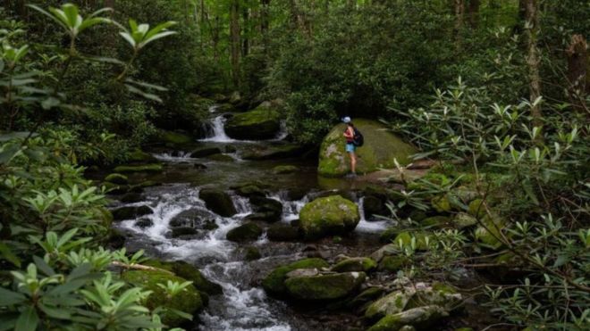 The 5 Best Hiking Trails in the Smoky Mountains for History Buffs