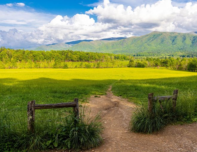 Image for Thing To Do Cades Cove