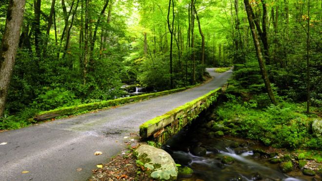 Spending 3 Days in the Smoky Mountains: What to Do