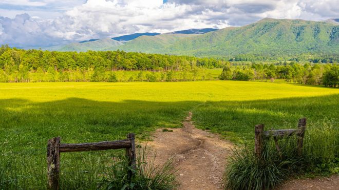 Image for Thing To Do Cades Cove Nature Trail