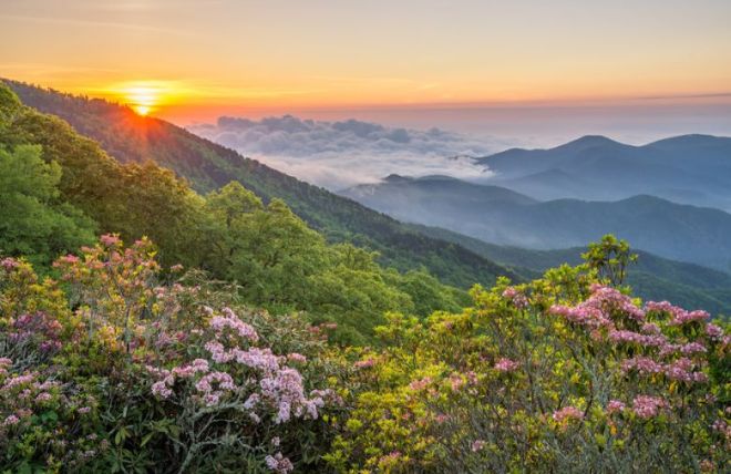 9 Reasons the Smoky Mountains Are the Ultimate Destination for Nature Lovers