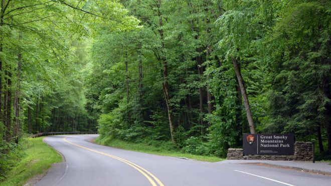 The Best Season to Visit the Great Smoky Mountains National Park